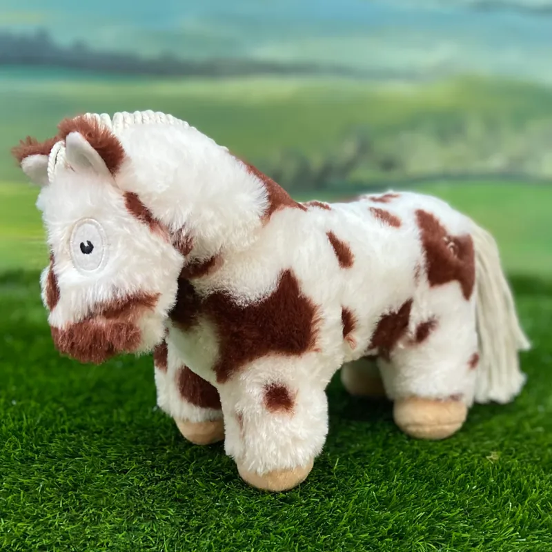Crafty Ponies Foal - Skewbald